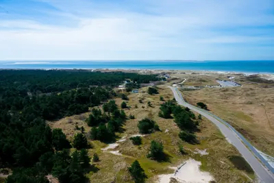 Vista aérea da costa e pinhal da Costa Vicentina, dunas junto ao Atlântico